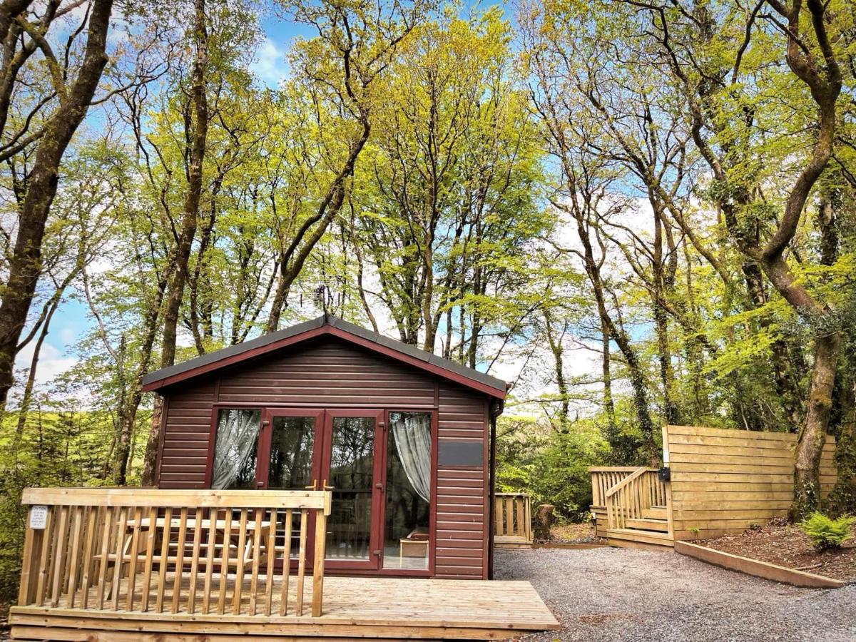 Woodland View -Hot Tub-Tenby-Carmarthen-St Clears - Ferienwohnung