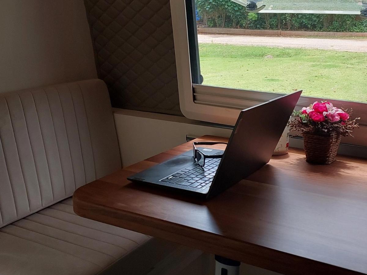 Pet Friendly Three Tree Beach Camp