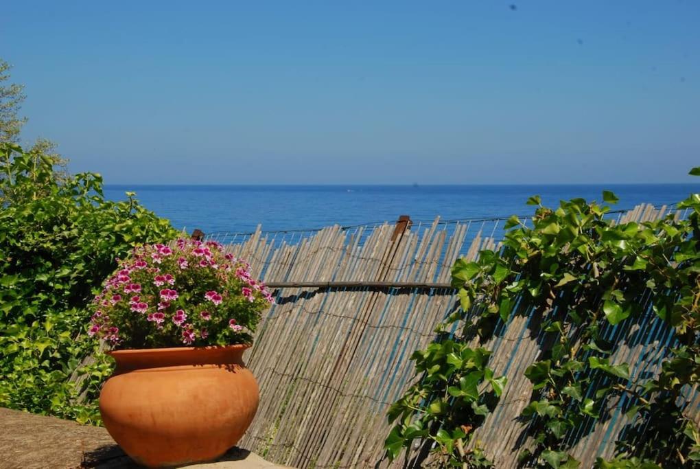 Four Seasons Spring Room - B&B Cefalù