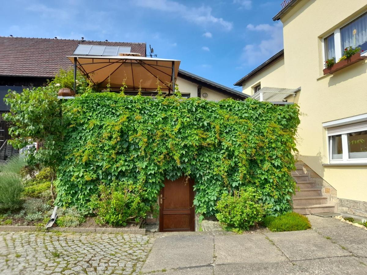 Wolfsbergblick - B&B