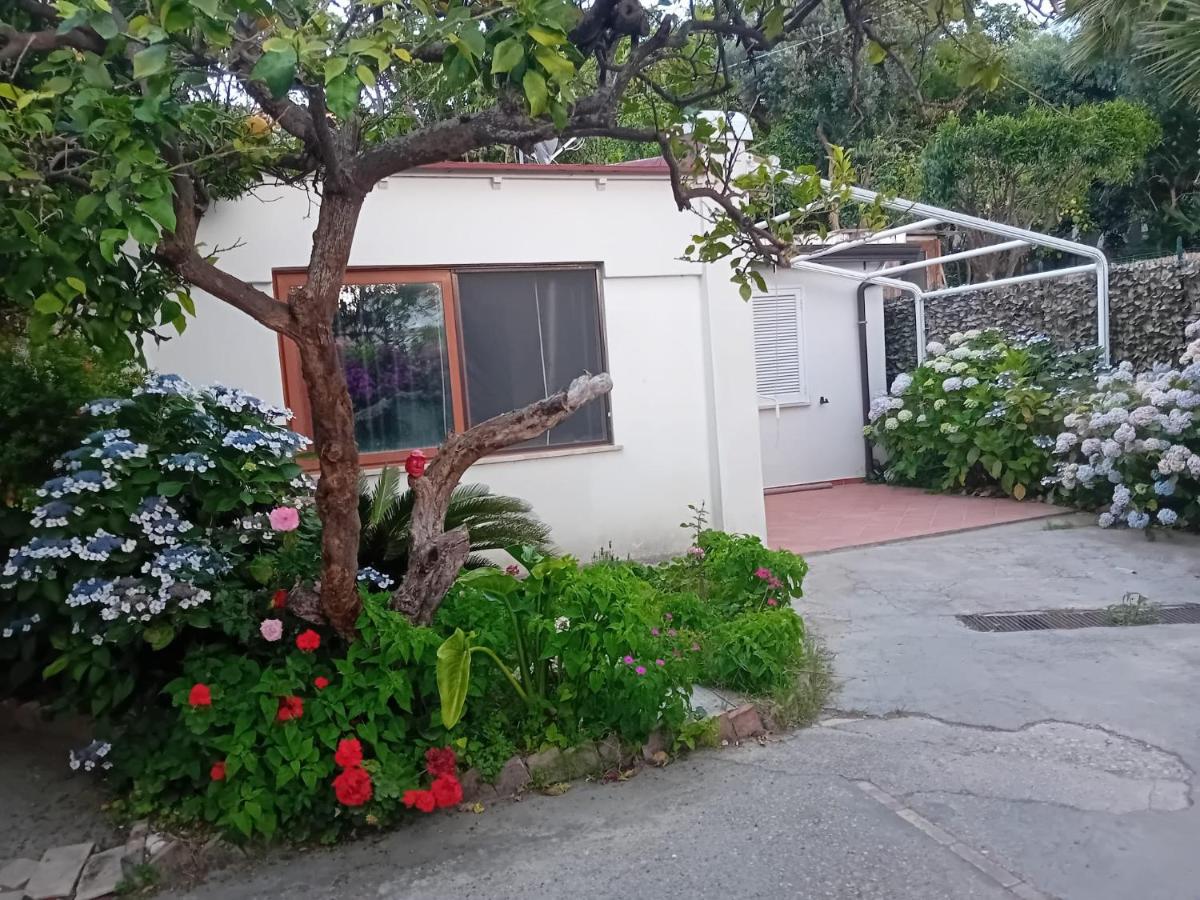 La Dracena - B&B Ischia