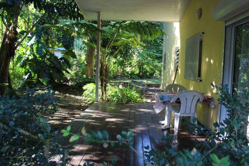La maison de Robin's - B&B Mont-Dore