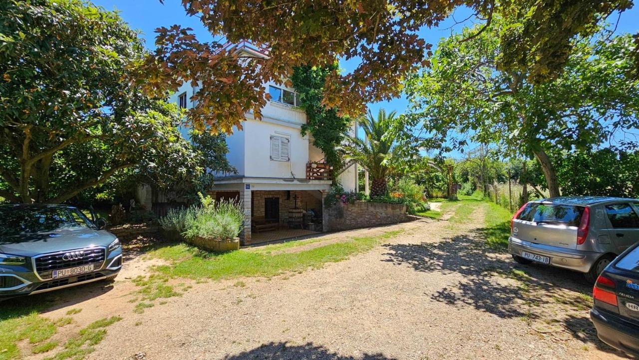 Davor 1 - B&B