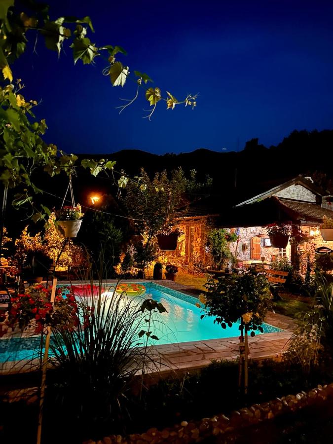 Guest House Queen - B&B