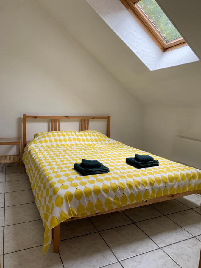 Cozy Apartment in the city center - B&B