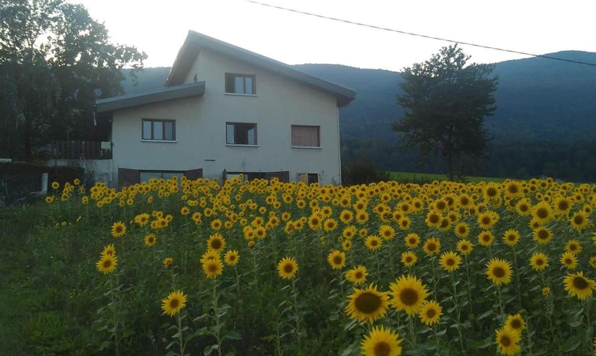 Rela - B&B
