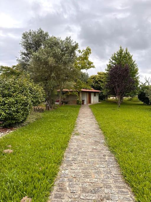 Casa do Moinho - Bed and Breakfast Friastelas