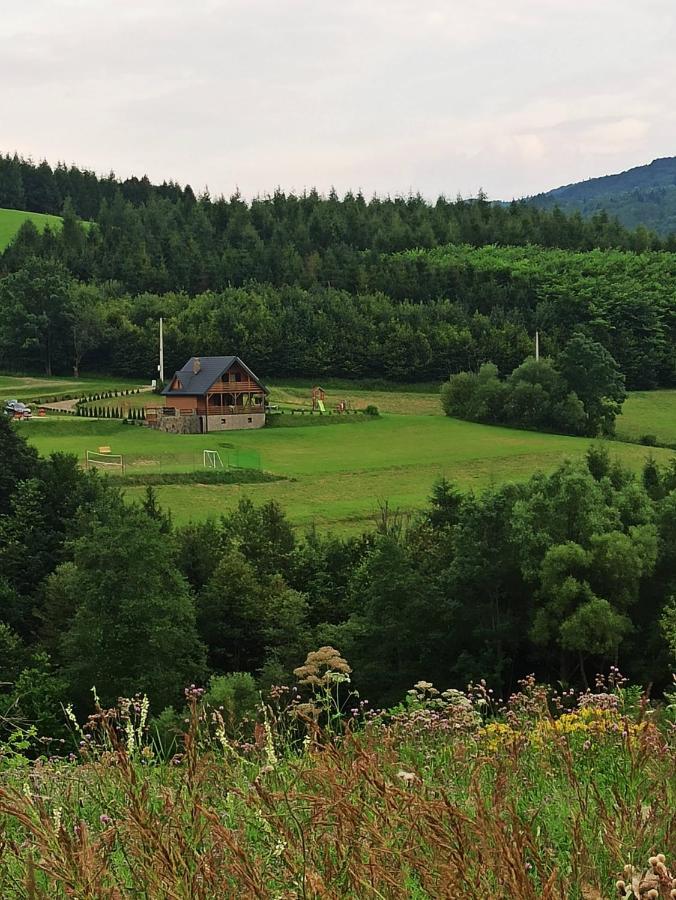 Bieszczady Żubrowe Wzgórze 785-049-543 - Bed and Breakfast Stężnica