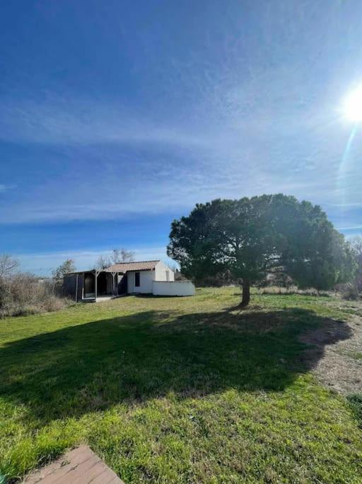 De l'eau et des oiseaux ! - B&B Saintes-Maries-de-la-Mer