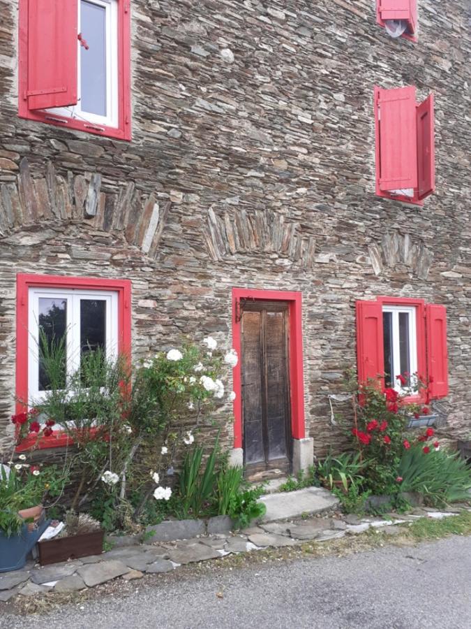 Au Grand Mûrier - Chambres d’hôtes Roquefère