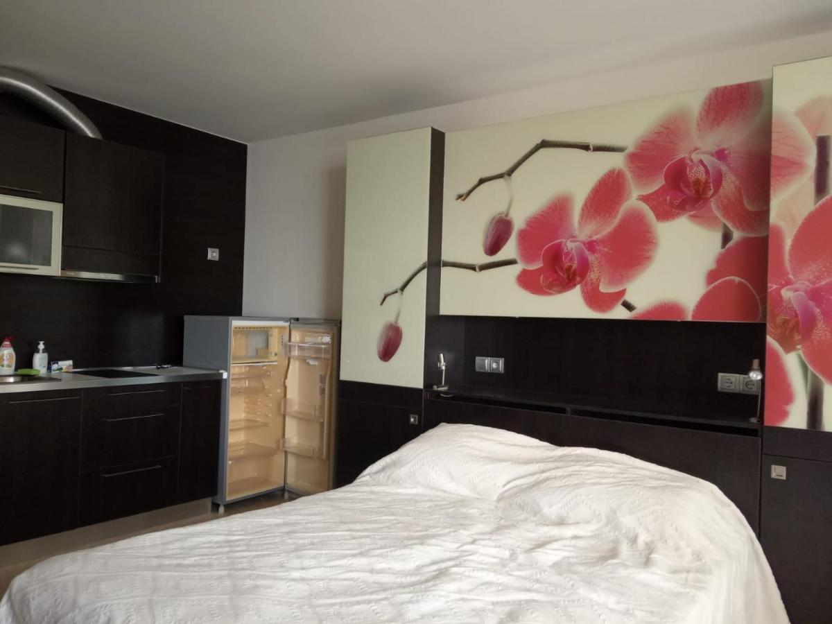 Appartement met 1 Slaapkamer