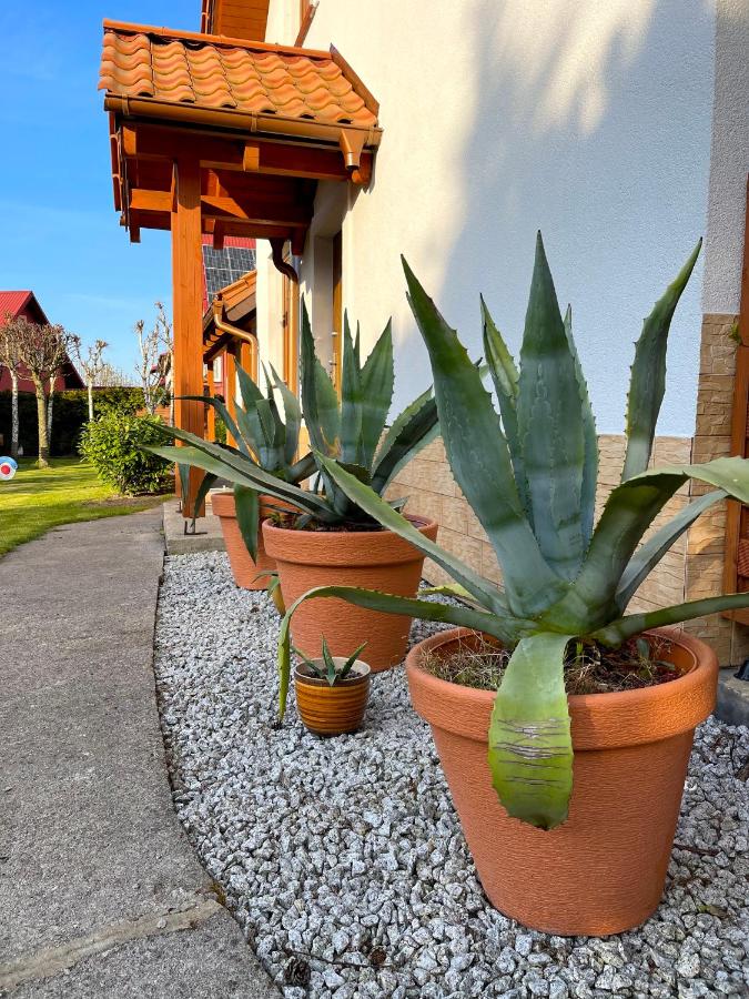 Domek MESSA ACHKASZUBY - B&B Puck