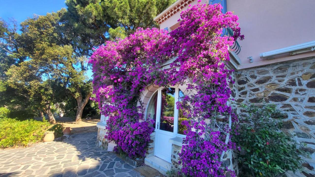 Rayol vue mer jardin plage à pied - St-Tropez 25km - B&B Rayol-Canadel-sur-Mer