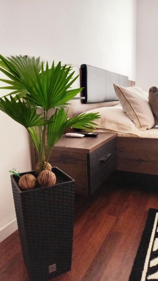 CLASSY 2-Dormitoare - B&B Baia Mare