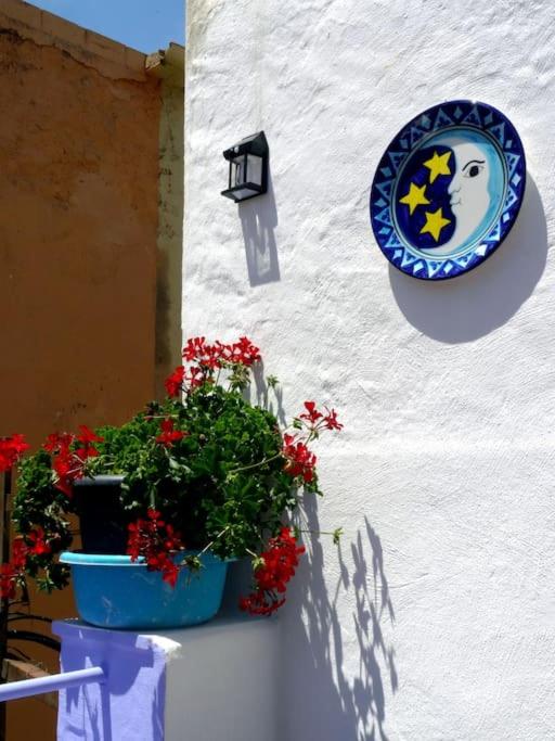 Terres de l'Ebre experience - B&B