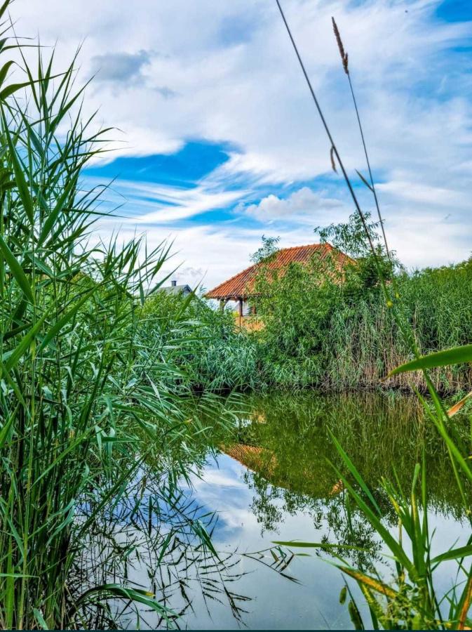 Agroturystyka Pod Podkową