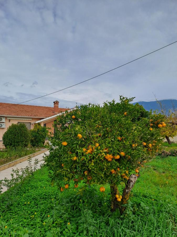La casa di Costa - B&B Dorizáta