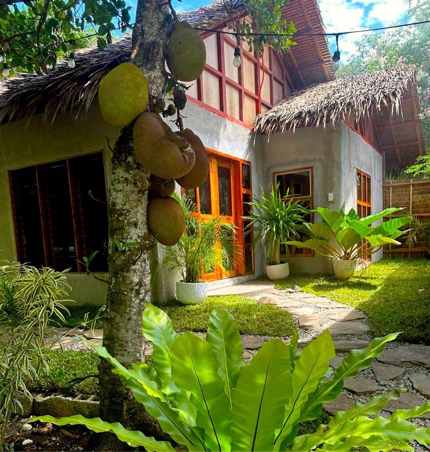 Bohol Island Homestay - B&B