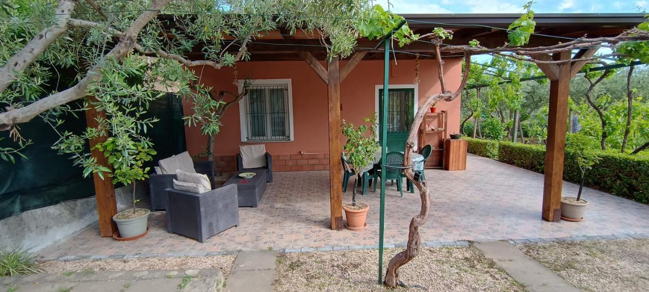 Il Vigneto "Cottage" - B&B