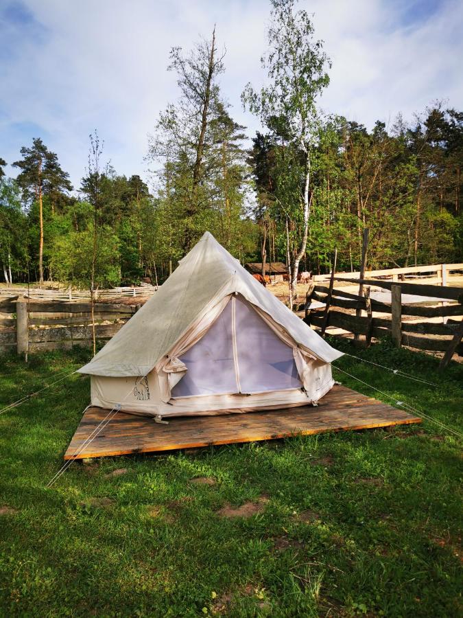 pole namiotowe Stajnia Kaliska