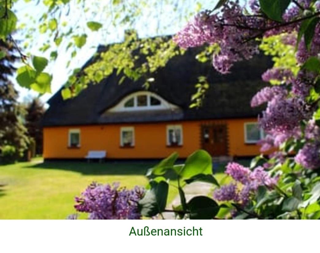 Urlaub bei Familie Schäning Dierhagen 2-Zimmer-Ferienwohnung - Chambres d’hôtes