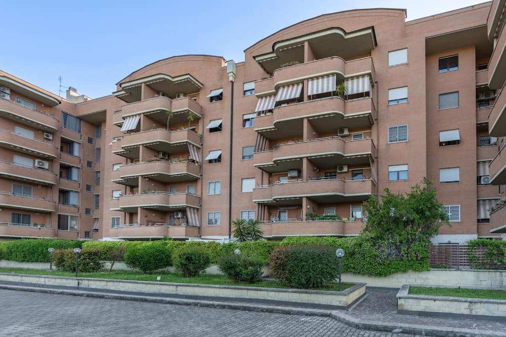 Tor Vergata Big Living Apartment - B&B