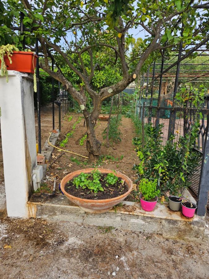 Molpea - B&B