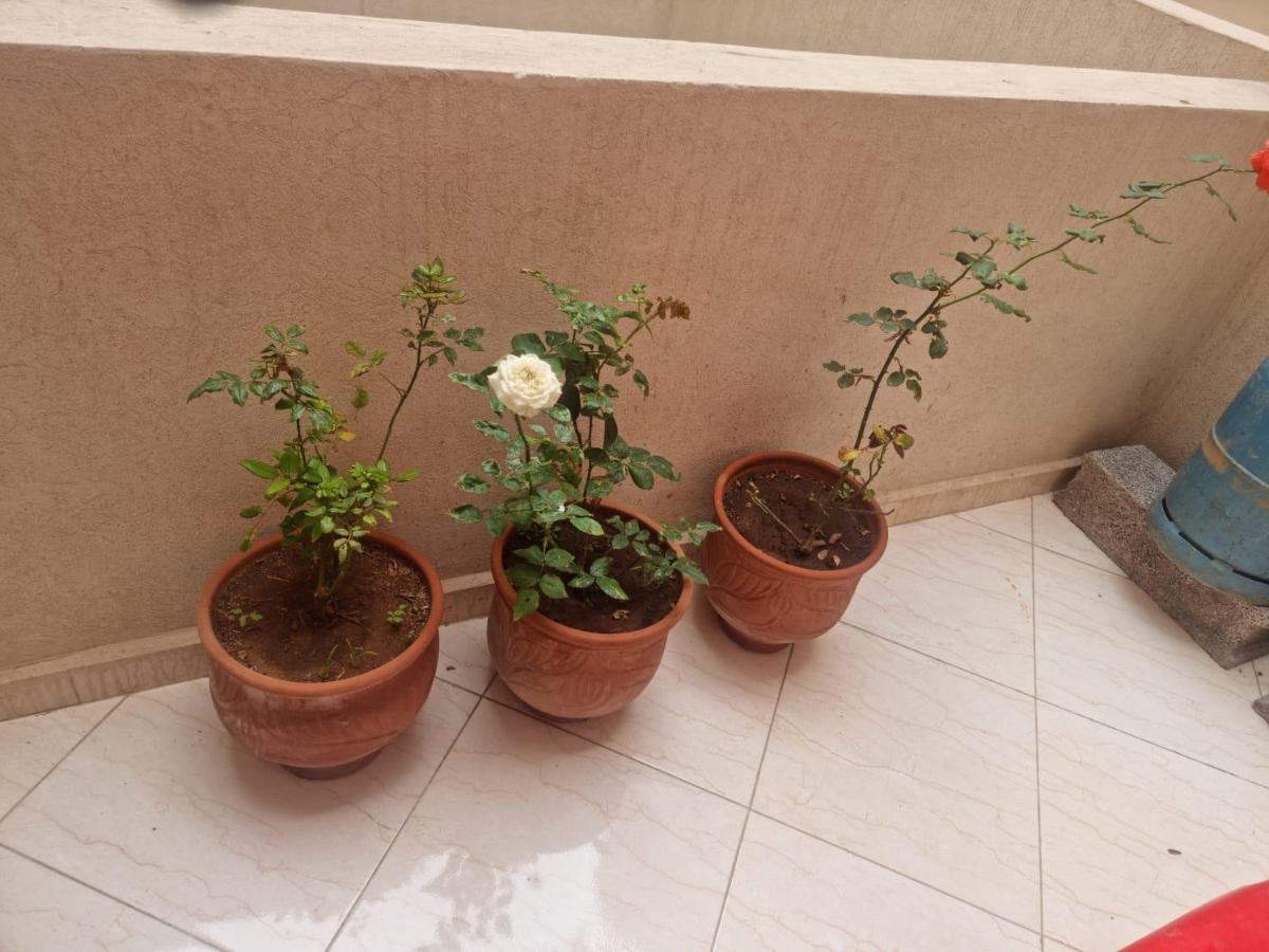 Apprt Ennakhil 3 - B&B