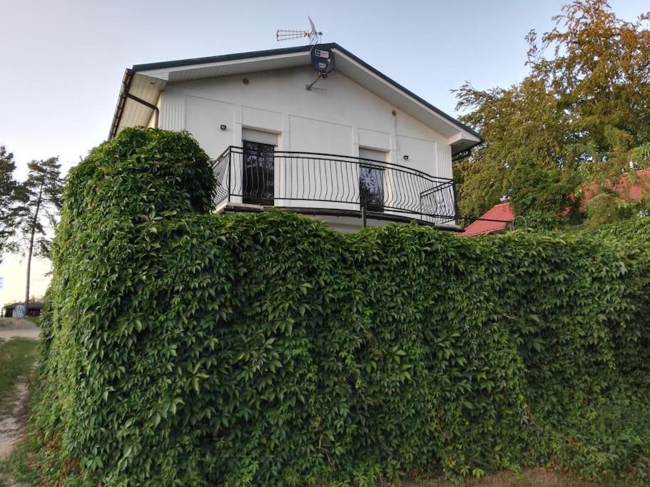 Dom nad Jeziorem Końskim - B&B