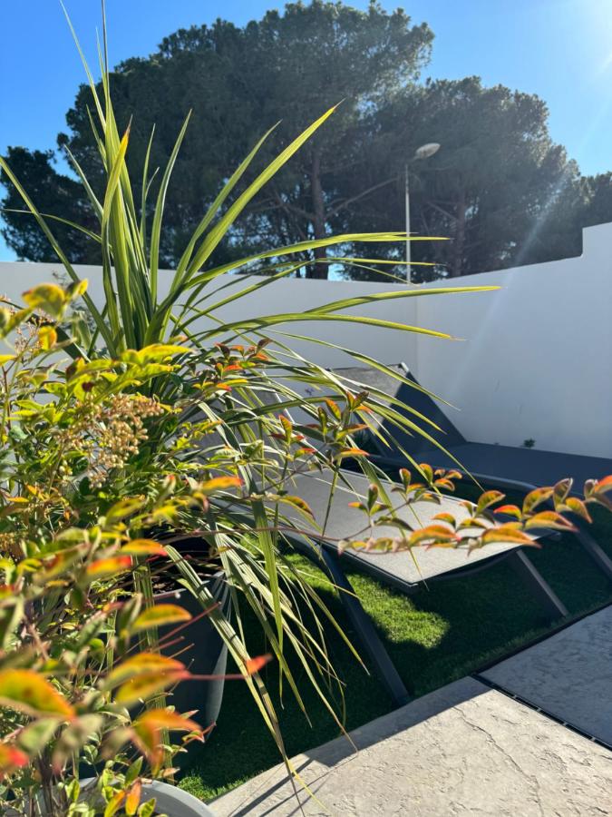 Villas Ambiance 21 Elégance Méditerranéenne à Portiragnes entre Terre et Mer Villa Séréna - Chambres d'hôtes Portiragnes
