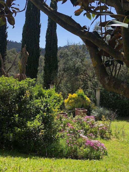 Luxueux Cocon avec parc paysagé avec piscine XXL à débordement, mer et plages 15 minutes - Chambres d'hôtes Pierrefeu-du-Var