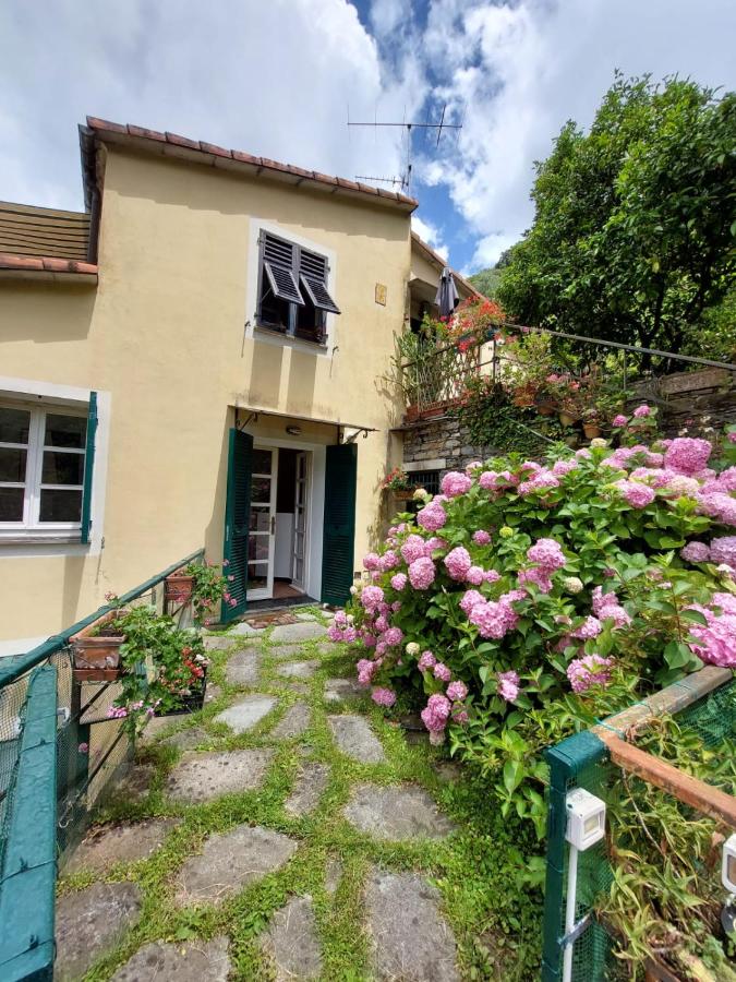 Pupetta Garden - B&B Sori