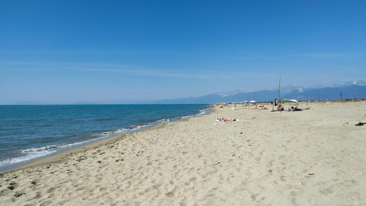 Appartamento Valentina - Casa Vacanze La Limoncella - B&B Torre del Lago Puccini