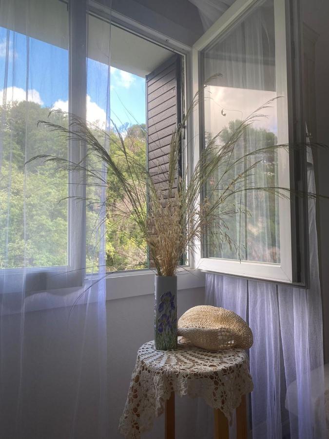 Grand Appartments Sappia - Ferienwohnung