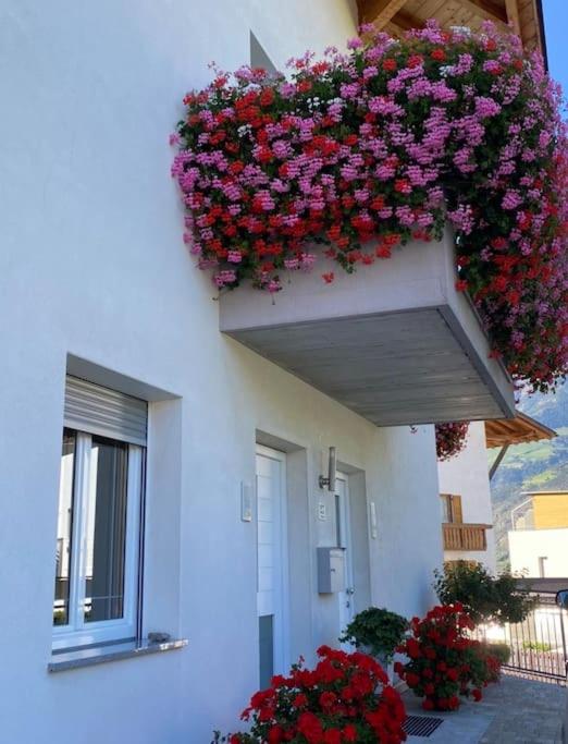 Villa Paula - Ferienwohnung