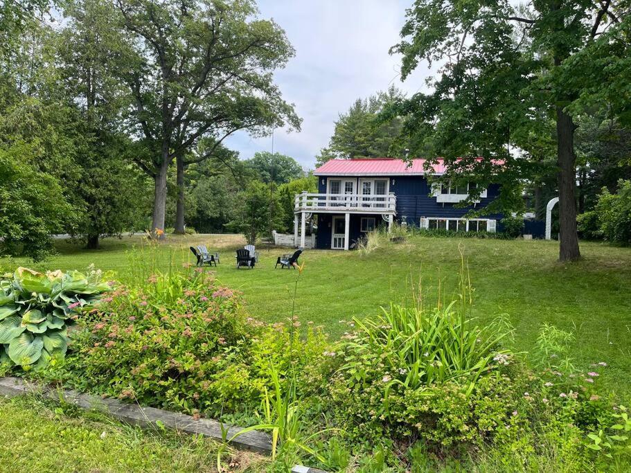 Blue cottage in Port Franks - B&B