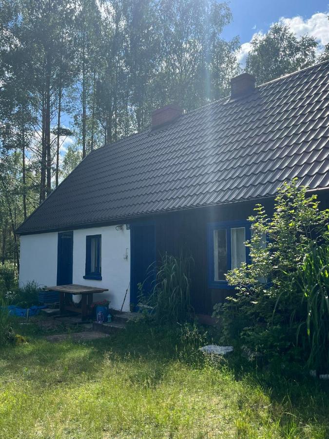 24mousehouse - Urokliwy domek w sercu Borów Tucholskich - B&B