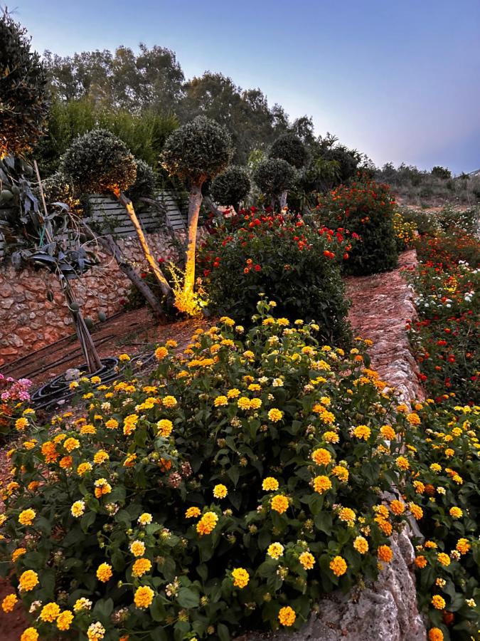 Villa with Private Pool - Erato