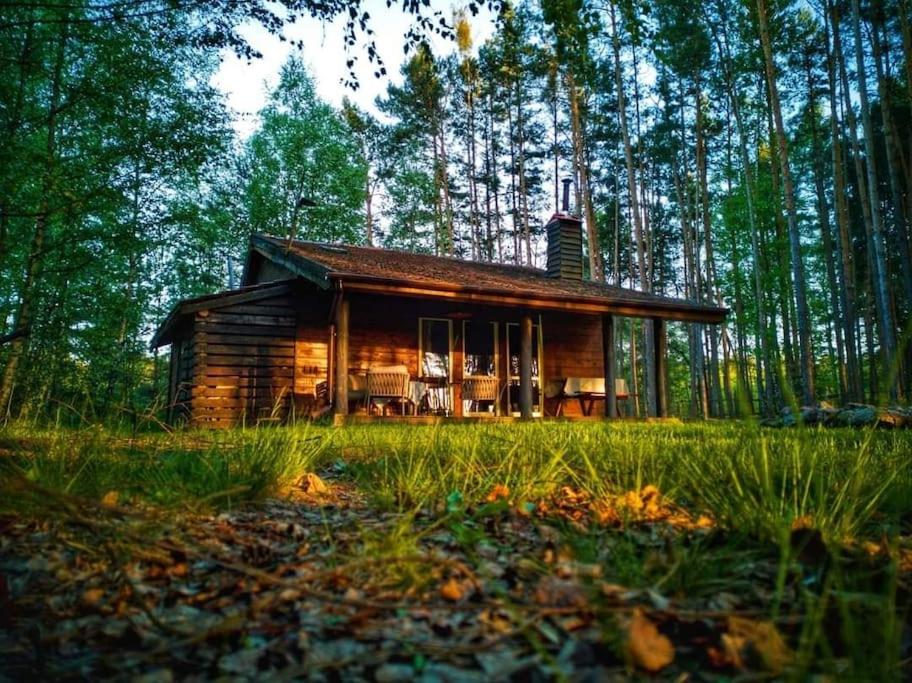 Leśna Chata - B&B