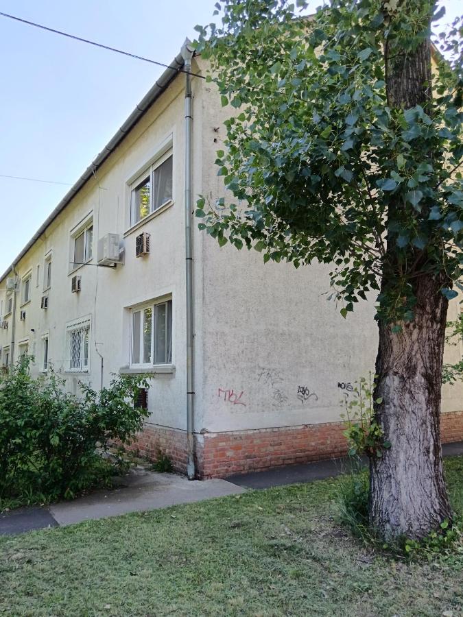 Tulipán Apartman - Bed and Breakfast