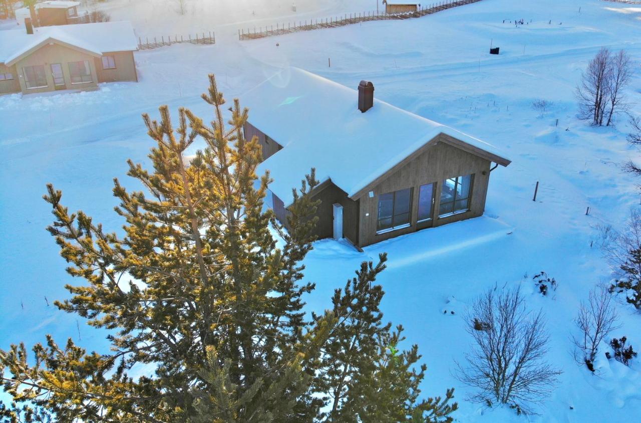Måsåplassen Friisvegen Mountain Lodge - Bed and Breakfast Ringebu