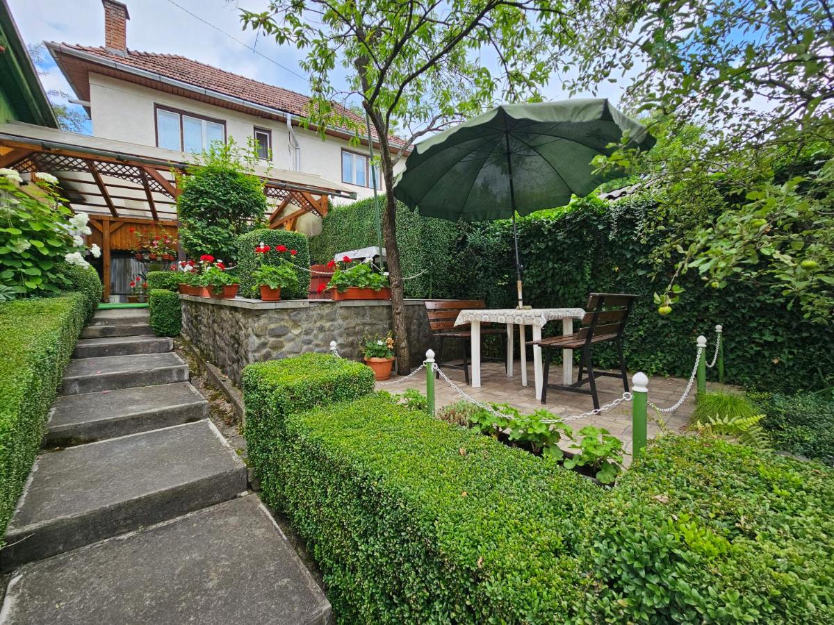Vila Domokos - Ferienwohnung Sovata