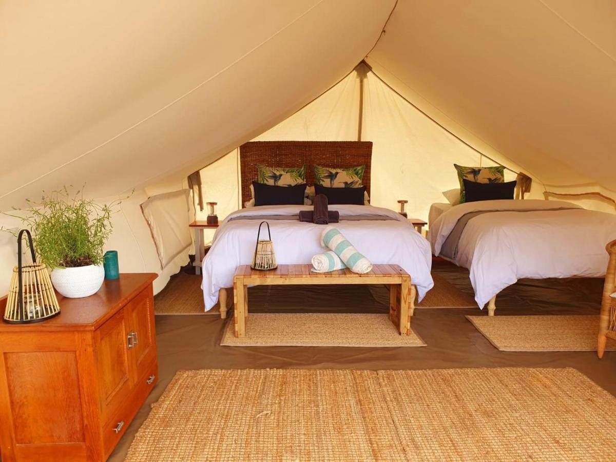 Tenda Comfort