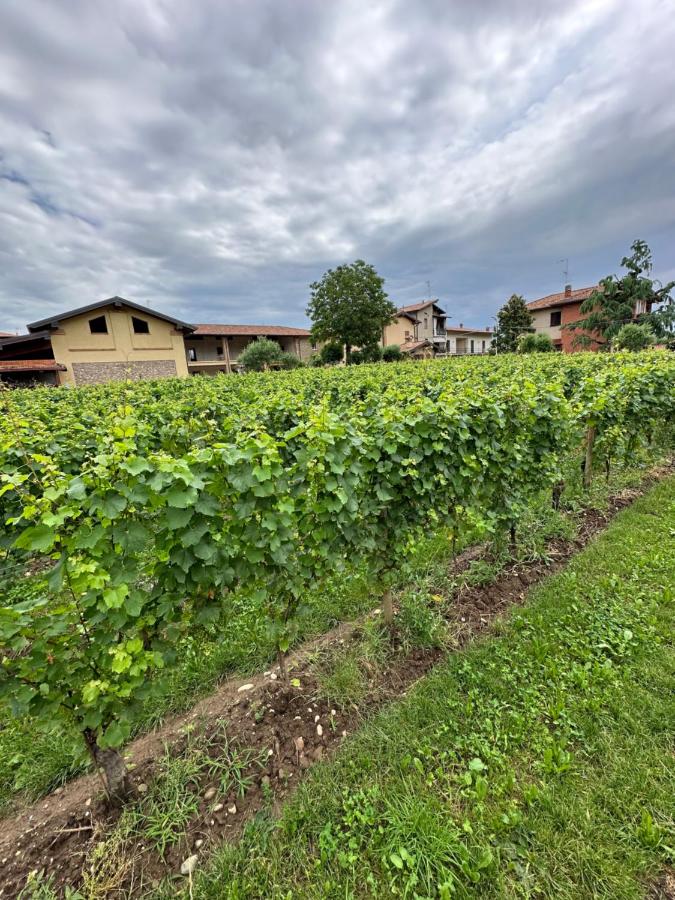 Borgo nel Vigneto - B&B