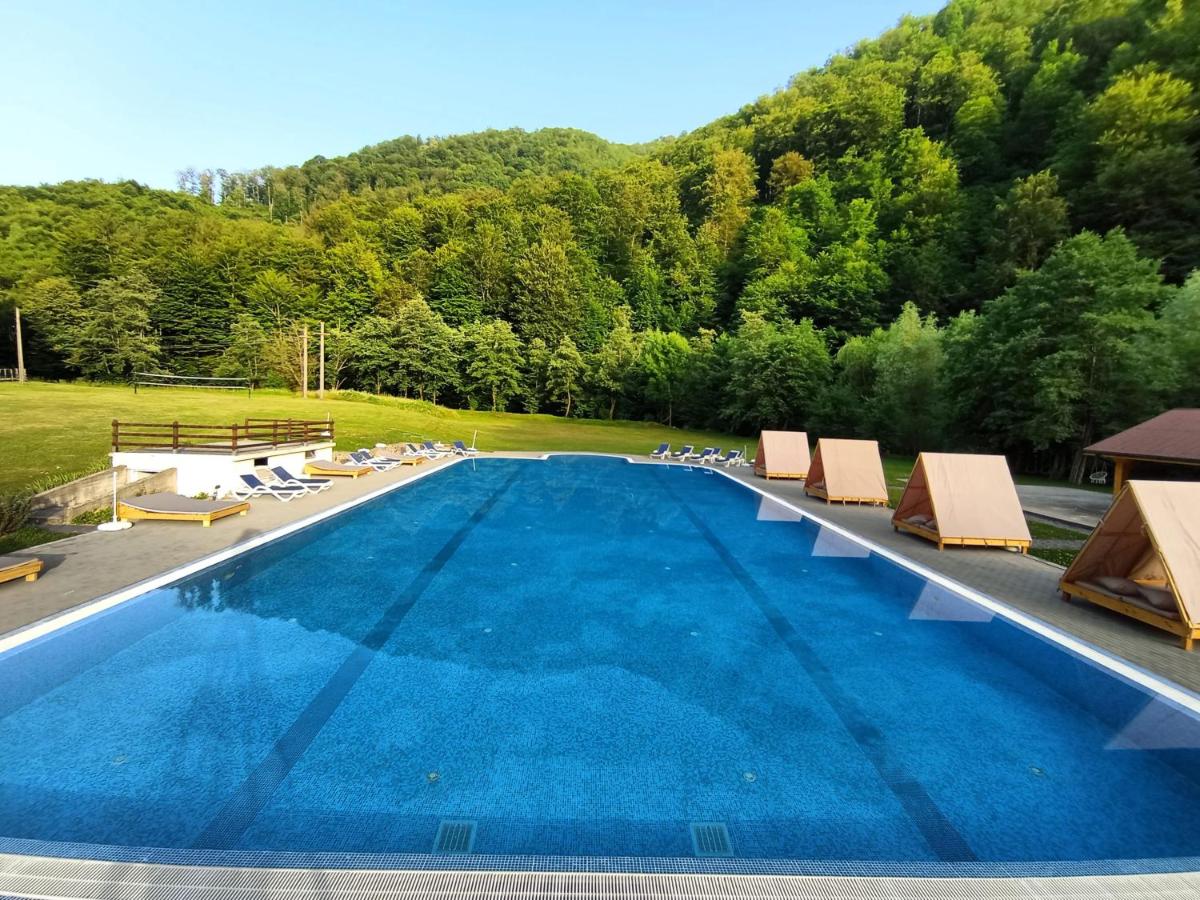 Pensiunea Poarta Raiului - B&B Cugir