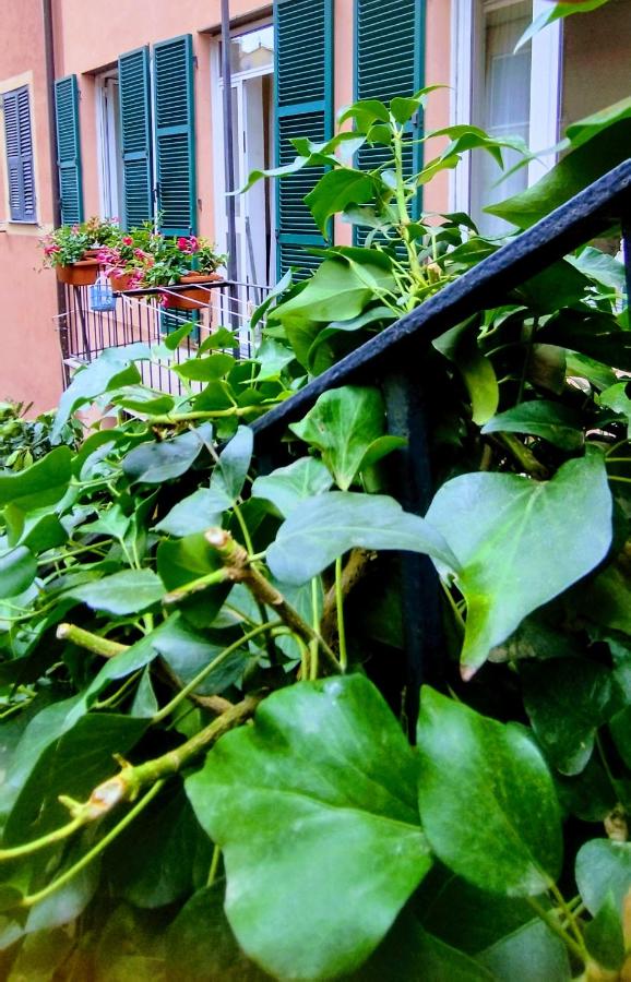 Appartamento Arte - B&B Imperia