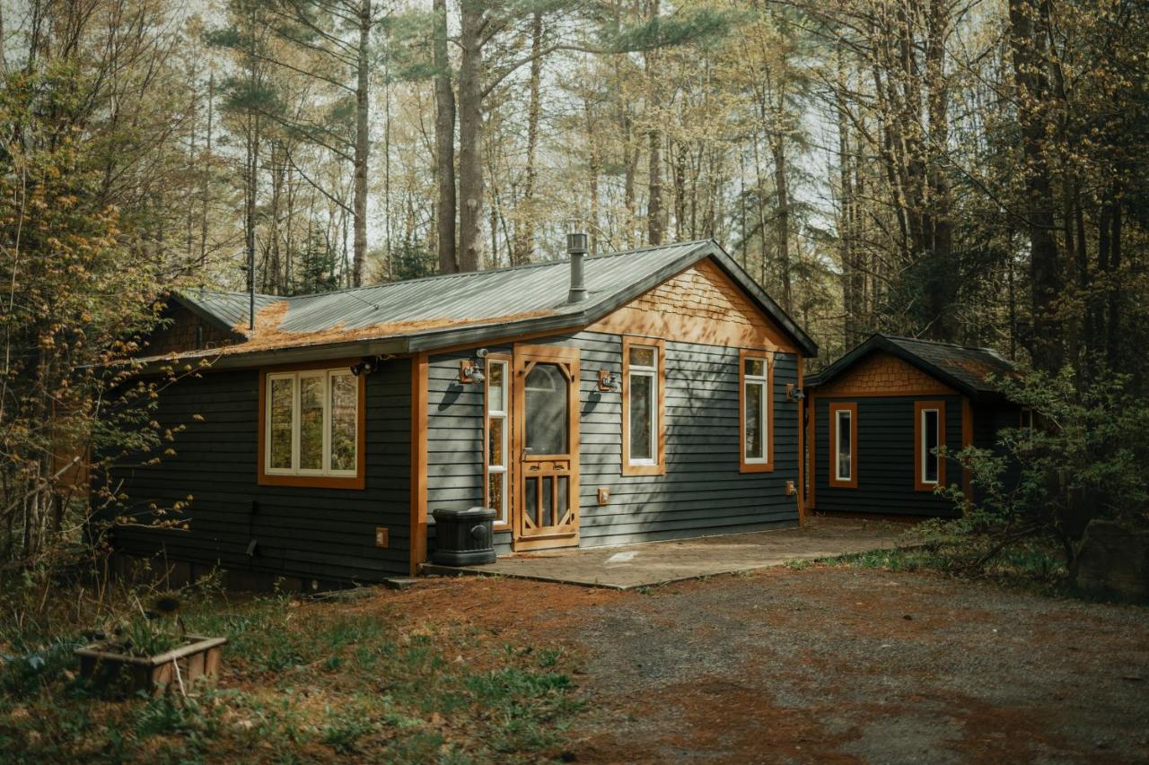 The Doma Lodge - Cozy Muskoka Cabin in the Woods - Bed and Breakfast
