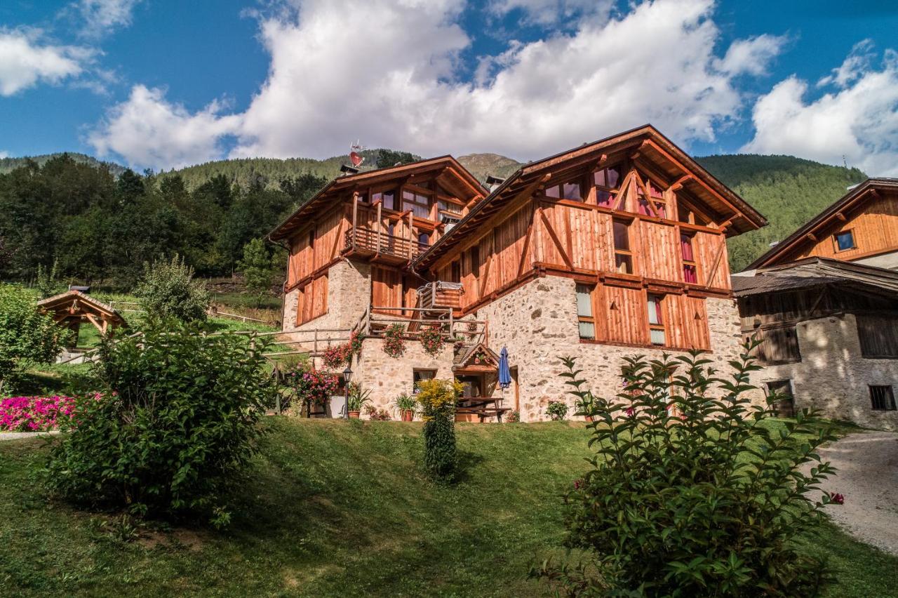 Maso Fior di Bosco - Val di Rabbi - Esercizio Rurale - B&B Roipi