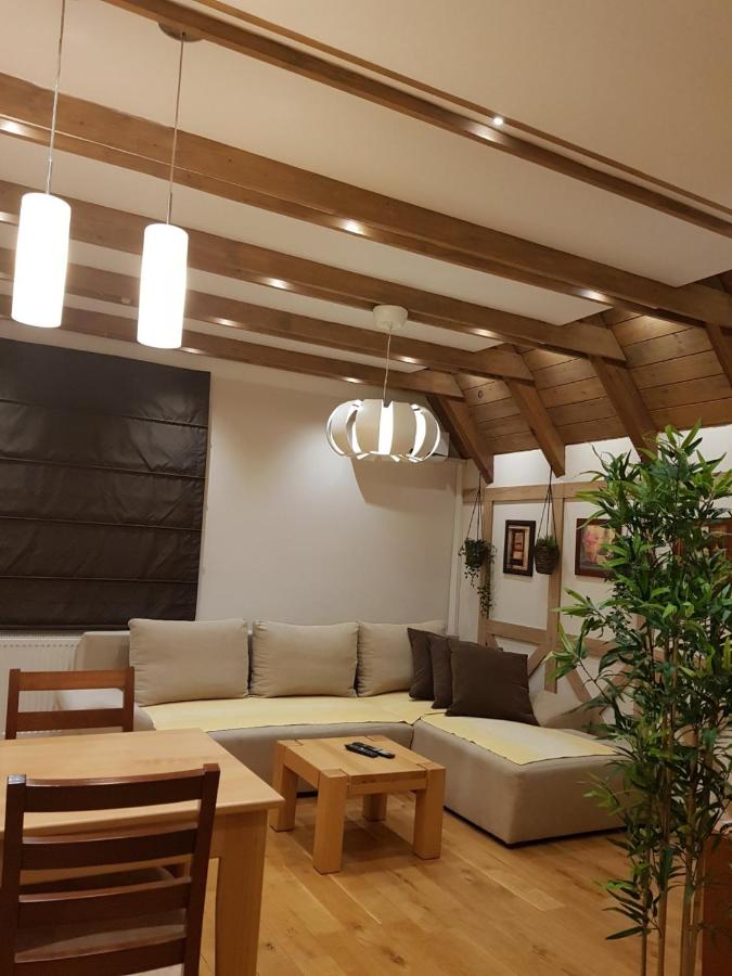 Apartment with Mountain View