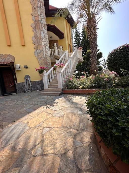 Fatih Villa - Bed and Breakfast Alanya